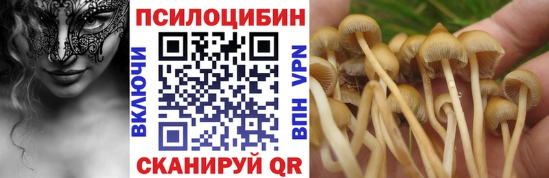 Псилоцибиновые грибы Psilocybe  гидра онион  Пролетарск 